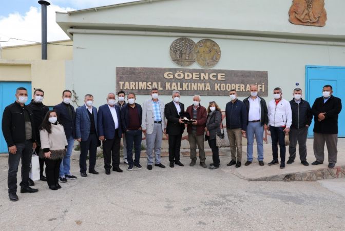 Zeytinyağı üretiminde önemli adım 1