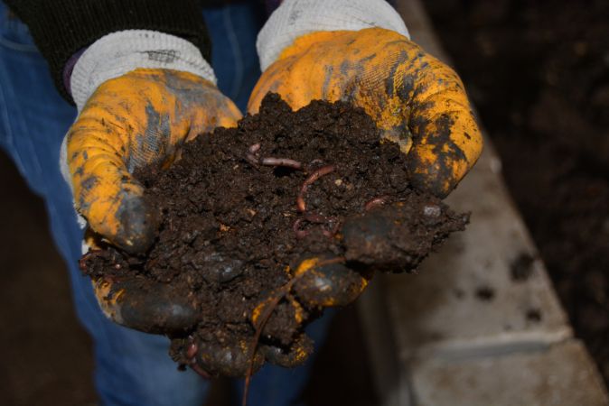 Hobi olarak başladı ticaretini yapıyor 3