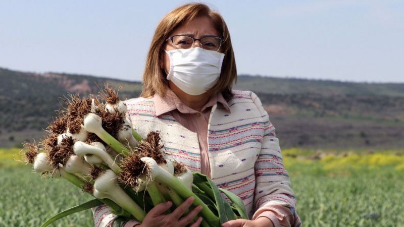 "Beyaz altın" Araban sarımsağında hasat heyecanı 9