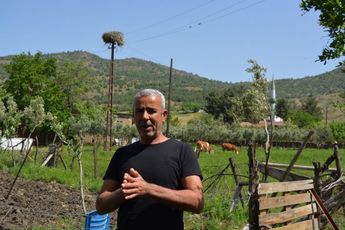 İslahiye'nin Kalaycık Mahallesi 10 yıldır leyleklere ev sahipliği yapıyor 1