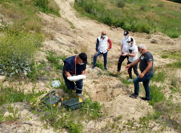Ölen kedisini defnetmek için Gaziantep'den Osmaniye'ye getirdi 4
