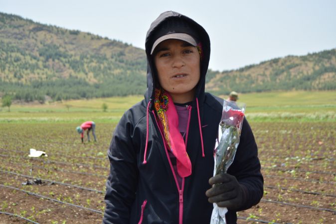 Gaziantep'e tarlada çalışan kadınlara "Anneler Günü" sürprizi 1