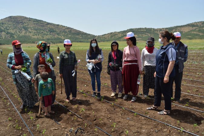 Gaziantep'e tarlada çalışan kadınlara "Anneler Günü" sürprizi 2
