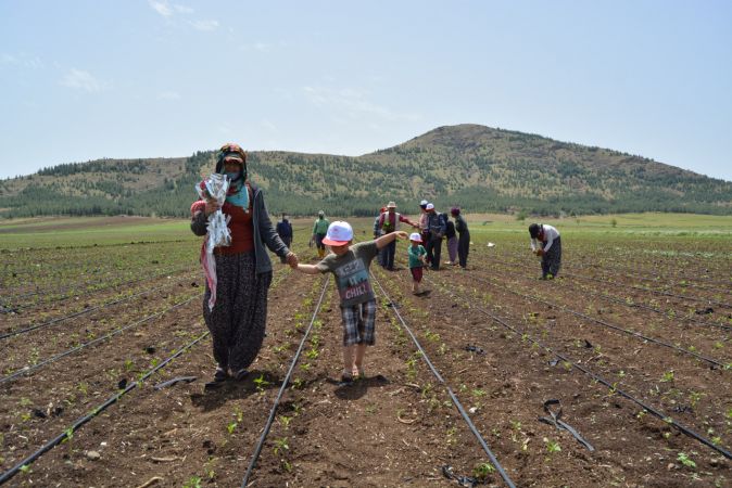 Gaziantep'e tarlada çalışan kadınlara "Anneler Günü" sürprizi 3