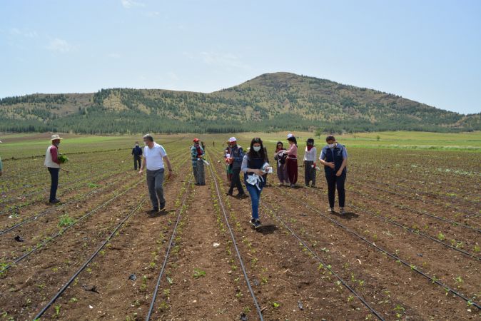 Gaziantep'e tarlada çalışan kadınlara "Anneler Günü" sürprizi 4