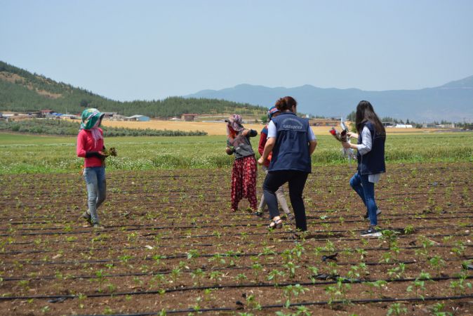 Gaziantep'e tarlada çalışan kadınlara "Anneler Günü" sürprizi 5