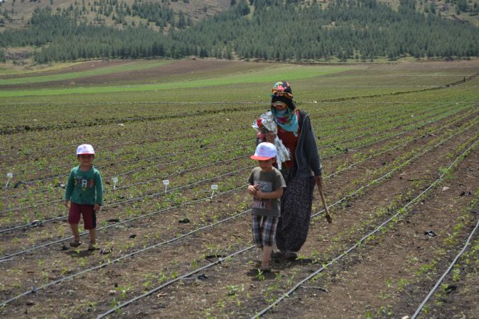 Gaziantep'e tarlada çalışan kadınlara "Anneler Günü" sürprizi 6