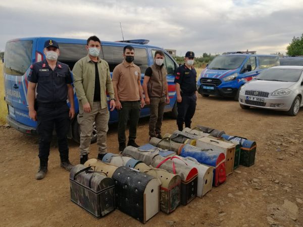 Horoz dövüştüren 8 kişiye 116 bin lira ceza kesildi 1