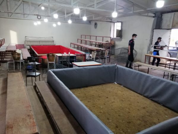 Horoz dövüştüren 8 kişiye 116 bin lira ceza kesildi 3