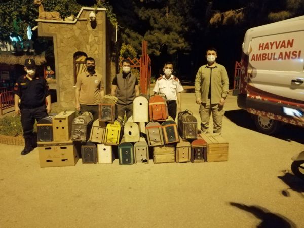 Horoz dövüştüren 8 kişiye 116 bin lira ceza kesildi 4