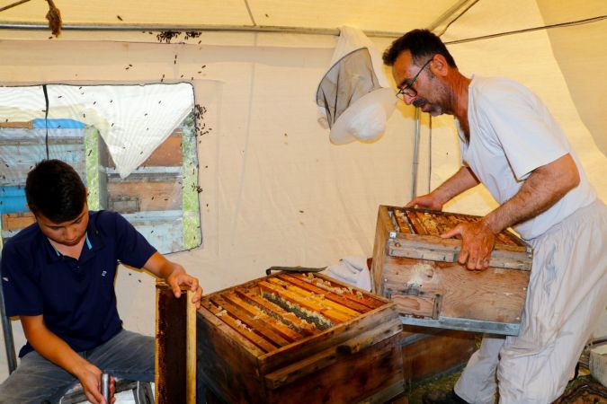 Foto Haber...Gaziantep’te arı sağımı başladı 11