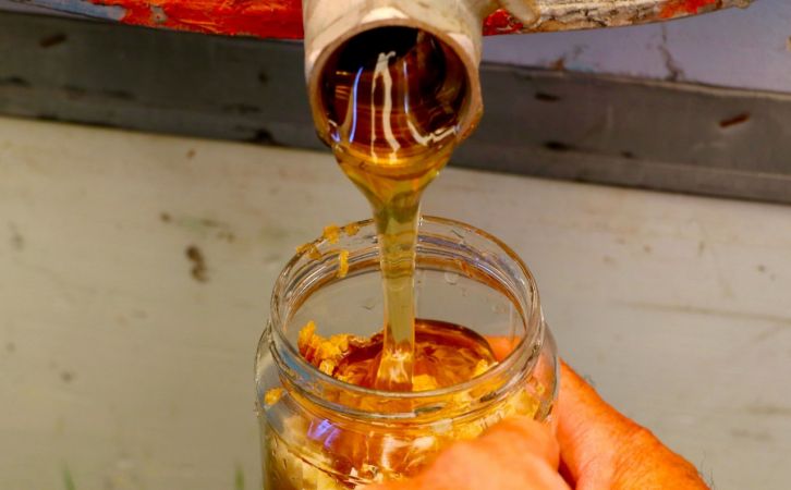 Foto Haber...Gaziantep’te arı sağımı başladı 12