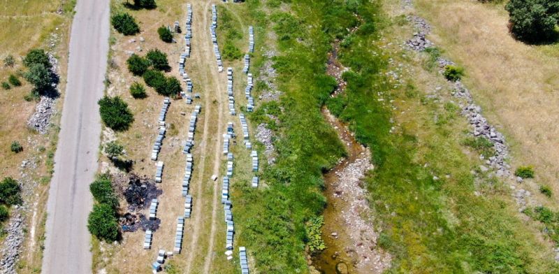 Foto Haber...Gaziantep’te arı sağımı başladı 14