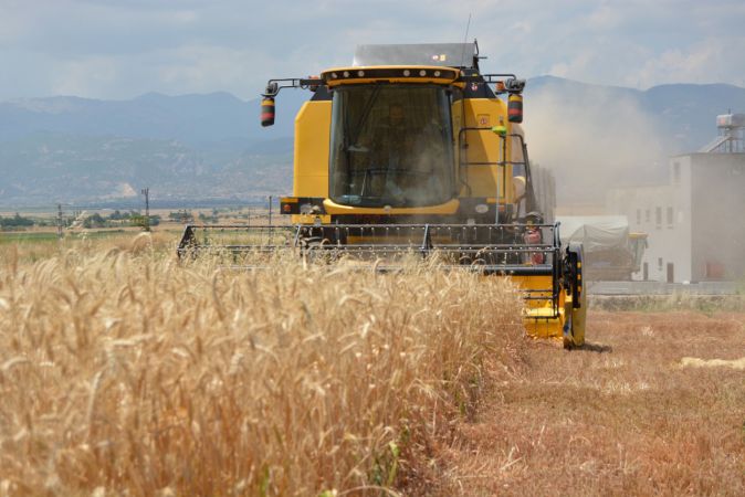 Hububat hasadına başlandı 1