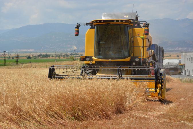 Hububat hasadına başlandı 5