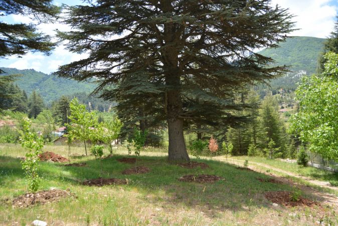 Foto Haber...Huzurlu Tabiat Parkı ziyaretçilerini bekliyor 2