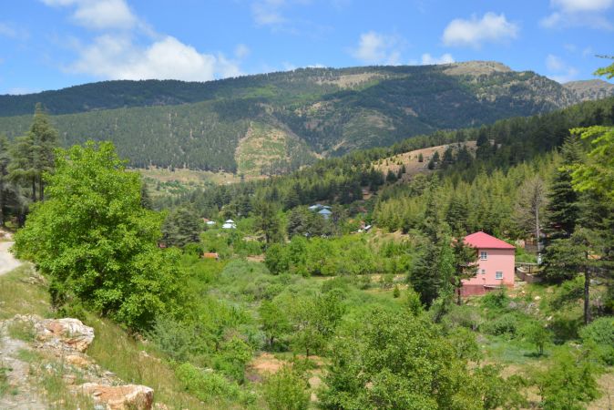 Foto Haber...Huzurlu Tabiat Parkı ziyaretçilerini bekliyor 4