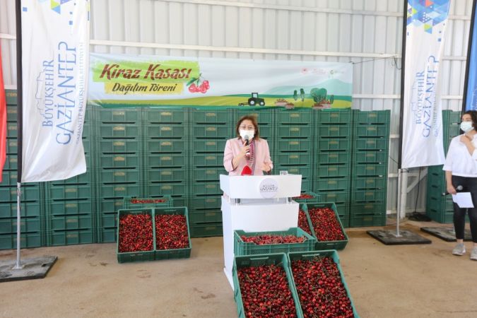 Büyükşehirden kiraz üreticilerine destek 2