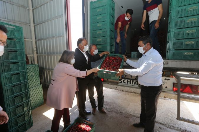 Büyükşehirden kiraz üreticilerine destek 3