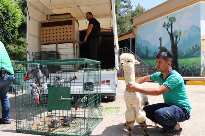 Gaziantep Hayvanat Bahçesi'ne yeni üyeler geldi 1
