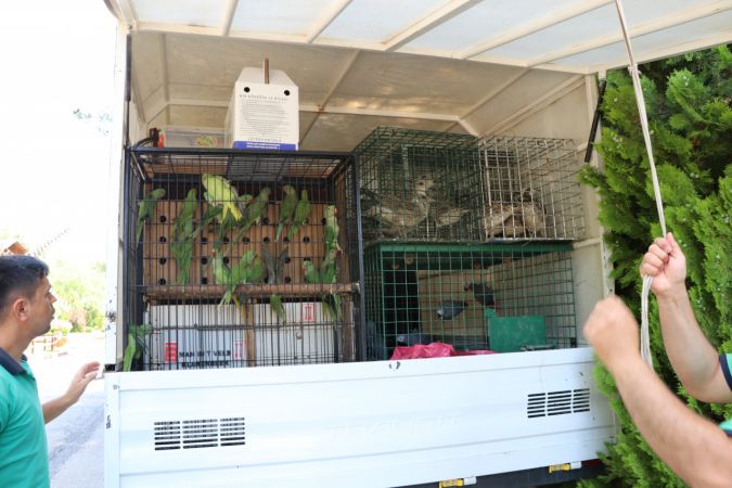 Gaziantep Hayvanat Bahçesi'ne yeni üyeler geldi 4