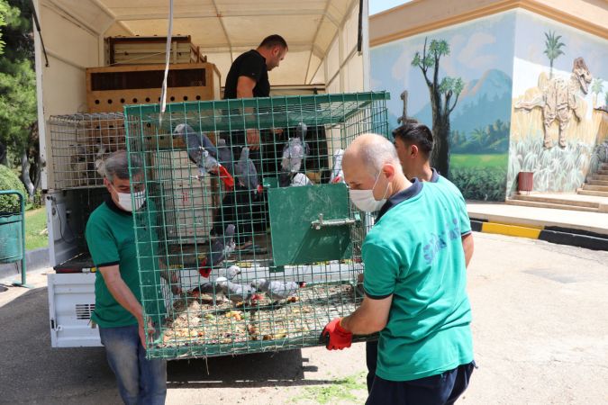 Gaziantep Hayvanat Bahçesi'ne yeni üyeler geldi 7