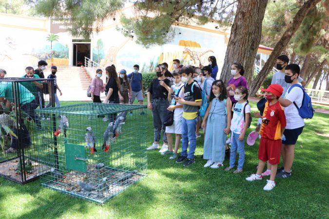 Gaziantep Hayvanat Bahçesi'ne yeni üyeler geldi 8