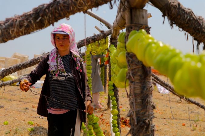Yılın ilk kurutmalıkları güneşe bırakıldı 15