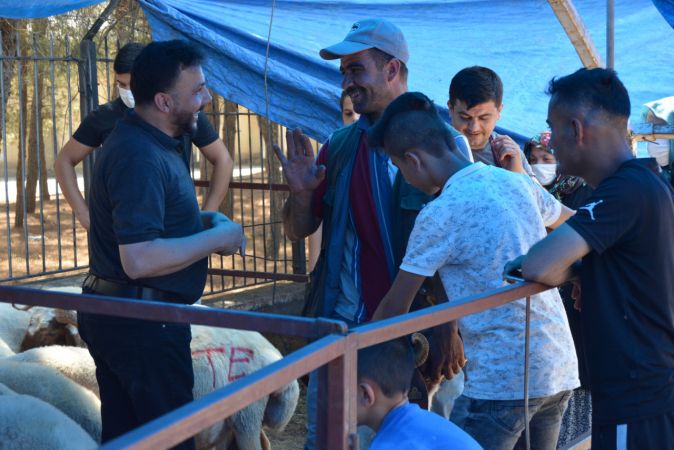 Foto Haber:Gaziantep'teki hayvan pazarlarında hareketlilik 1