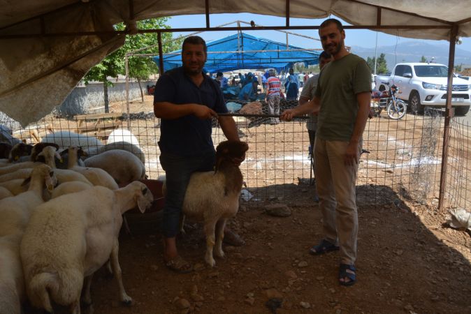 Foto Haber:Gaziantep'teki hayvan pazarlarında hareketlilik 2