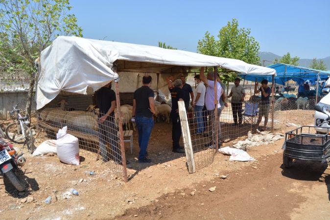 Foto Haber:Gaziantep'teki hayvan pazarlarında hareketlilik 6