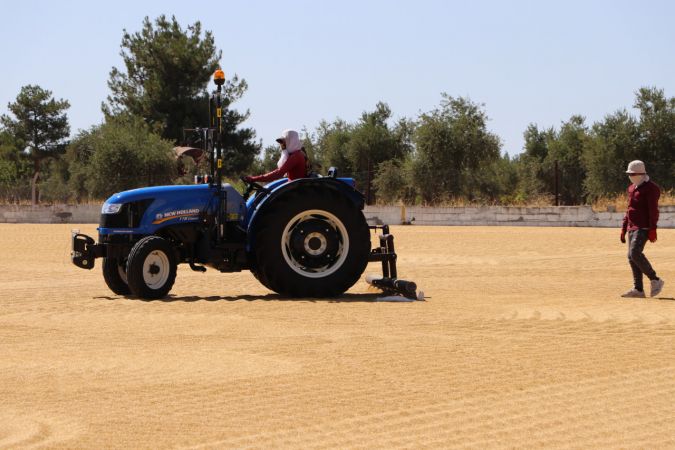 Güneydoğulu hububatçılardan yılın ilk yarısında 1,2 milyar dolarlık ihracat 1