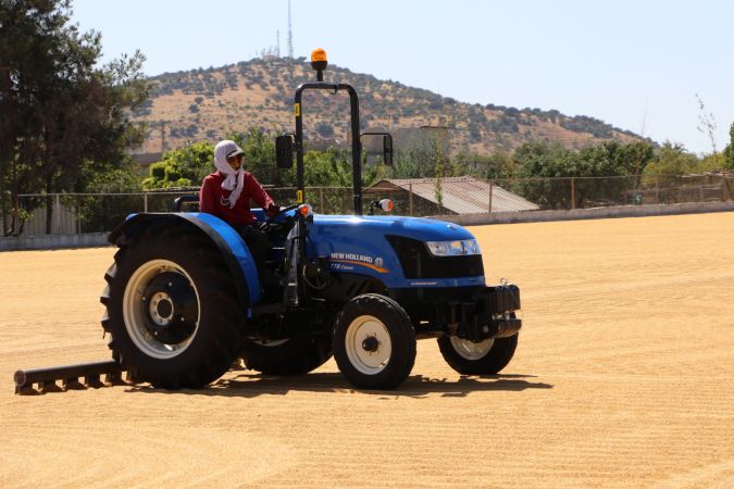 Güneydoğulu hububatçılardan yılın ilk yarısında 1,2 milyar dolarlık ihracat 3