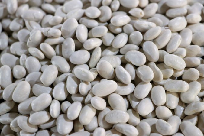 Güneydoğulu hububatçılardan yılın ilk yarısında 1,2 milyar dolarlık ihracat 7