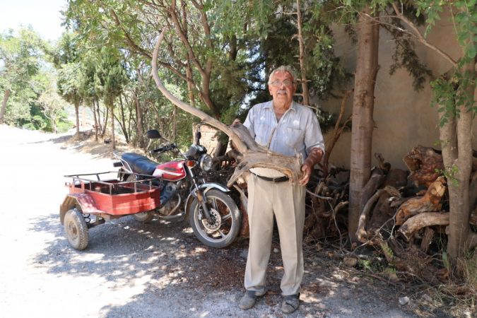 Çürümüş ağaç dallarını sanat eserine döndürüyor 5