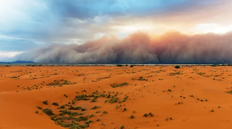 Dünyanın en büyük çölü Sahra bir zamanlar ormanmış 1