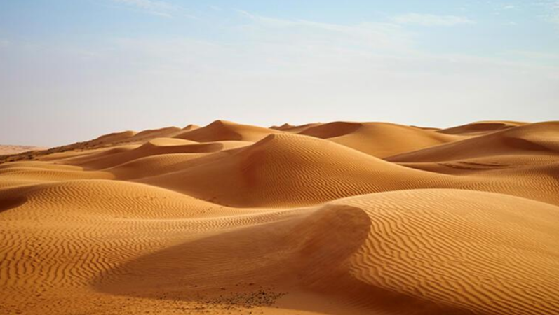 Dünyanın en büyük çölü Sahra bir zamanlar ormanmış 2