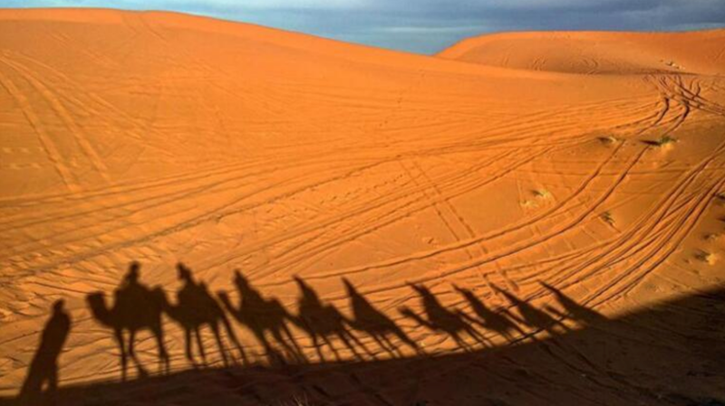 Dünyanın en büyük çölü Sahra bir zamanlar ormanmış 3