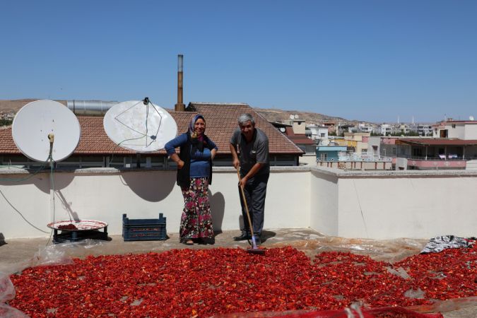 "Gastronomi kenti" Gaziantep'te kadınların salça telaşı 3