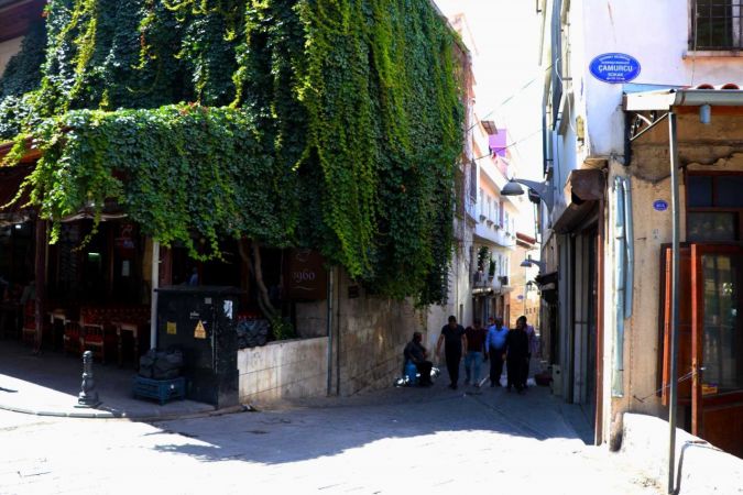 Foto Haber:Tarihi kahvehane 25 yıldır sarmaşıkla kaplı 1