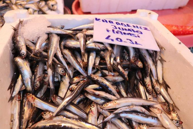 Gaziantepli balıkçılar kebap kültüründen şikayetçi 1