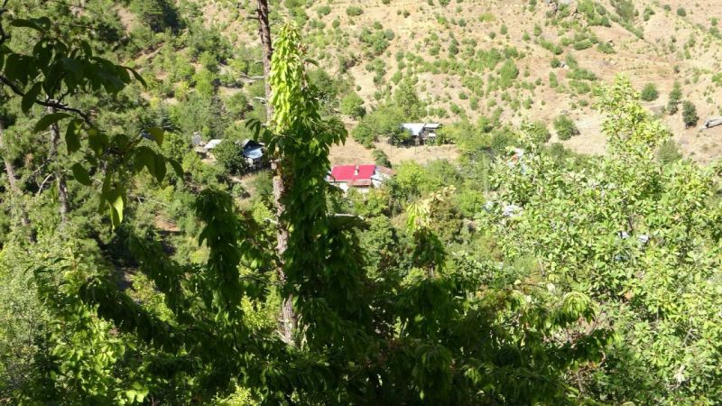 Foto Haber:Toroslar’da sonbahar manzaraları görsel şölen oluşturuyor 4