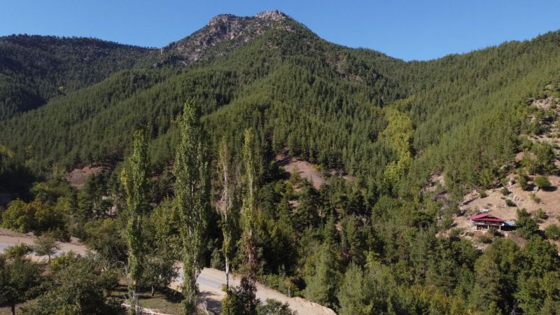 Foto Haber:Toroslar’da sonbahar manzaraları görsel şölen oluşturuyor 6