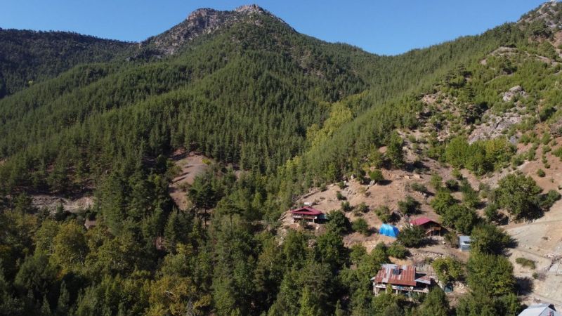 Foto Haber:Toroslar’da sonbahar manzaraları görsel şölen oluşturuyor 8