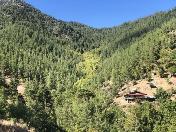 Foto Haber:Toroslar’da sonbahar manzaraları görsel şölen oluşturuyor 9