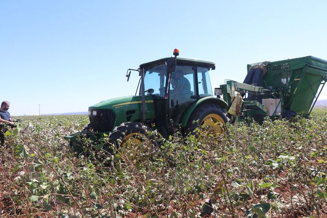 Foto Haber:Gaziantepli Çiftçileri Pamuk Sevindirdi! 1