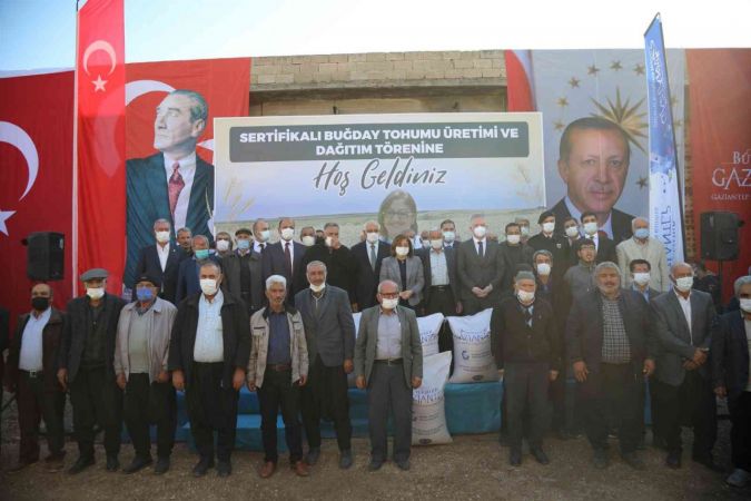 Büyükşehir, Araban çiftçisine 200 ton sertifikalı buğday tohumu dağıttı 4