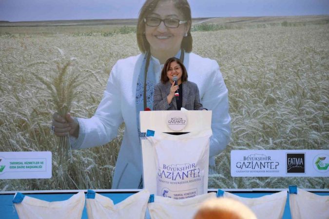Büyükşehir, Araban çiftçisine 200 ton sertifikalı buğday tohumu dağıttı 2