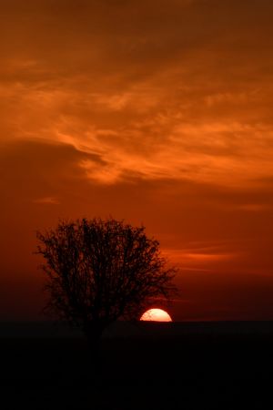 Gaziantep'te gün doğumu 6