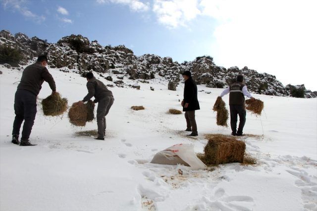 En uzun gece Gaziantep'te bugün mü? 21 Aralık Kış sezonu ne zaman? Kış ekinoksu hakkında bilgiler 7